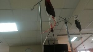 Η δύναμη της προσφοράς σε μια φιάλη αίματος