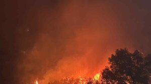 Φωτιά σε αγροτοδασική έκσταση στην Κεφαλονιά – Μεγάλη κινητοποίηση της πυροσβεστικής