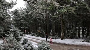 Καιρός: Ψυχρή εισβολή, με πτώση θερμοκρασίας που θα φτάσει ακόμα και τους -10 βαθμούς