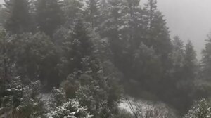 Θυελλώδεις άνεμοι, ισχυρές χιονοπτώσεις και σοβαρές ζημιές από την κακοκαιρία στην Ήπειρο