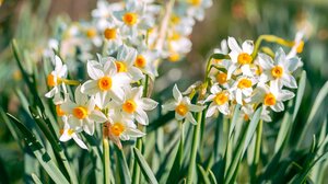 Γι αυτούς που χάθηκαν, γι αυτούς που παλεύουν ακόμη...