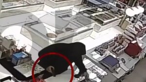 Νίκαια: Καρέ – καρέ η ένοπλη ληστεία σε ζαχαροπλαστείο - Ο δράστης έκλεψε το ταμείο και εξαφανίστηκε