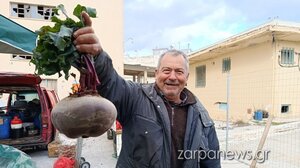 Χανιώτης παραγωγός έβγαλε παντζάρι βάρους 2,5 κιλών! 