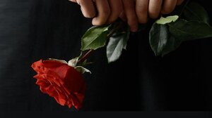 "Η ζωή είναι μια στιγμή" - Το μήνυμα Λιονάκη μετά τις πολύνεκρες τραγωδίες που συγκλονίζουν τη χώρα