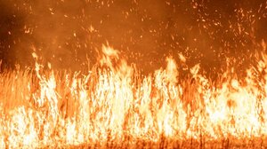 Σε κατάσταση έκτακτης ανάγκης η Αργεντινή λόγω των πυρκαγιών στην Παταγονία