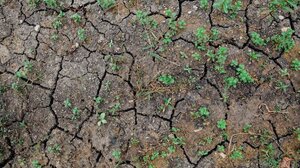 Σημάδια ξηρασίας στην Κρήτη – Μείωση της εδαφικής υγρασίας δείχνουν τα στοιχεία του ΜΕΤΕΟ