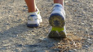 Βόλος: Θύμα επίθεσης από τσομπανόσκυλα έπεσε 60χρονος που πήγε για τρέξιμο 