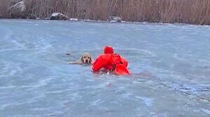 Πυροσβέστης σέρνεται στον πάγο για να σώσει σκύλο σε παγωμένη λίμνη