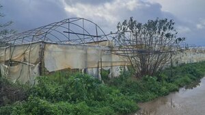 Ηλεία: Καταστροφές σε θερμοκήπια στο Γαννιτσοχώρι