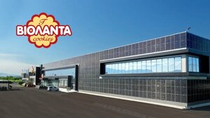 Η ιστορία της Βιολάντα μέχρι την τραγωδία στο εργοστάσιο της μπισκοτοβιομηχανίας στα Τρίκαλα