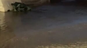 Χανιά: Ξεχείλισαν φρεάτια στη Νέα Χώρα – Μέχρι τη θάλασσα έφτασαν τα λύματα