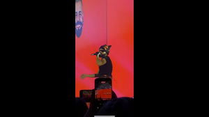 Eurovision 2026: Τι δείχνουν τα πρώτα στοιχήματα λίγες ώρες μετά τη νίκη του Akyla στον εθνικό τελικό