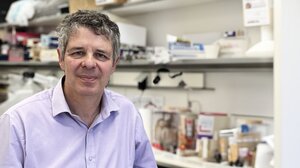 Ξανά στο "τιμόνι" του Ινστιτούτου Μοριακής Βιολογίας και Βιοτεχνολογίας του ΙΤΕ ο Γ. Βόντας