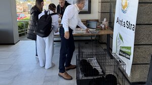 Αδέσποτα βρήκαν σπίτι! Επιτυχημένη η ημέρα υιοθεσίας στο Γεράνι