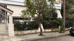 «Η πεθερά μου πέθανε σε 3 λεπτά, εγκλωβίστηκε μεταξύ της πόρτας του ΙΧ και του δέντρου»!