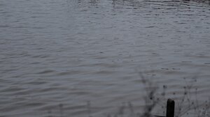 Υπερχείλισαν ποτάμια στα Ιωάννινα – Μεγάλες εκτάσεις γης έχουν καλυφθεί από νερά