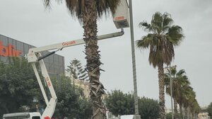 Ολοκληρώθηκαν οι εργασίες συντήρησης του οδοφωτισμού στη Λεωφόρο Κνωσού