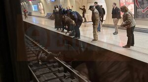 Αναστάτωση στο μετρό: Άνδρας έχασε τις αισθήσεις του και έπεσε στις ράγες 