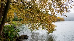 Συνελήφθη διακινητής μεταναστών στην Ορεστιάδα