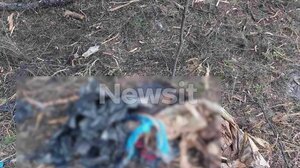 Θρίλερ με το ακέφαλο πτώμα στη Χαλκιδική: «Εκεί που βρέθηκε δεν πάει εύκολα άνθρωπος»