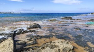 Παχιά Άμμος: Νέες προειδοποιήσεις, από τον Σύλλογο Προστασίας Περιβάλλοντος Σταυρού, για περιβαλλοντική υποβάθμιση 