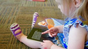 Υπάρχει «γονίδιο δυσλεξίας»; Aνασκόπηση 40 ετών απαντά