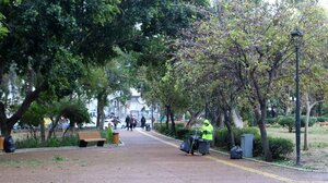 Πάνω από 52.500 νέα φυτά άλλαξαν το πράσινο αποτύπωμα του Ηρακλείου!