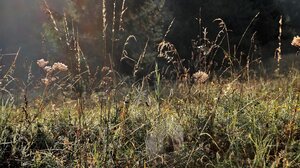 Δήμος Αγίου Νικολάου: Υποχρεωτικός καθαρισμός οικοπέδων ενόψει της αντιπυρικής περιόδου