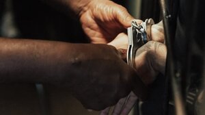  Φθιώτιδα: Συνελήφθη μεθυσμένος άνδρας που πυροβόλησε και σκότωσε κυνηγόσκυλο 