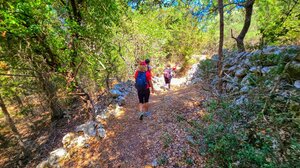 Χανιά: Οι "Δρόμοι Ζωής" ... σε ένα παραμυθένιο δάσος!