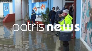 Σαρωτικό το πέρασμα της κακοκαιρίας από τον Πύργο - Νεκρά εκατοντάδες ζώα στο Γούμερο