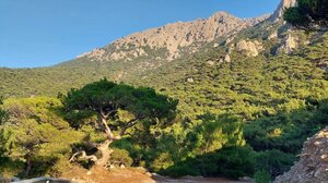 Ακολουθήστε τη διαδρομή από τη Θρυπτή ως το Σταυροχώρι με τα πόδια