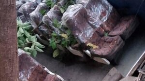 Βολιβία: Τουλάχιστον 14 νεκροί σε τροχαίο με λεωφορείο