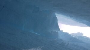 Οκτώ σκιέρ σκοτώθηκαν από χιονοστιβάδα στην Καλιφόρνια