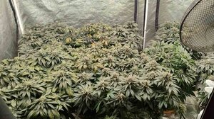 Σύλληψη 25χρονου για ναρκωτικά στη Ζάκυνθο