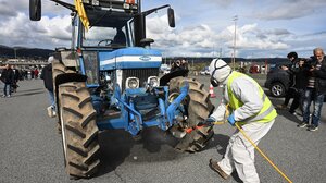 Κρήτη: 16 απολυμαντικοί σταθμοί οχημάτων κατά της ευλογιάς των προβάτων