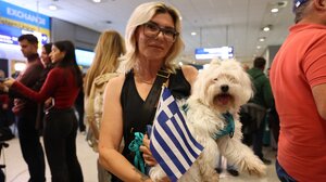 Επέστρεψαν με ασφάλεια από το Ντουμπάι οι Έλληνες με τα κατοικίδιά τους