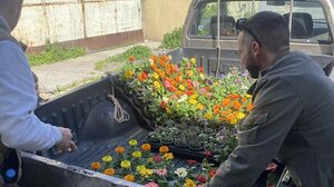 Άγιος Σύλλας: Γέμισαν την καρότσα με λουλούδια και τα πρόσφεραν πόρτα-πόρτα στις γυναίκες του χωριού 