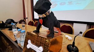 Άγιος Νικόλαος: «Η προστασία των ζώων είναι ζήτημα παιδείας και πολιτισμού»