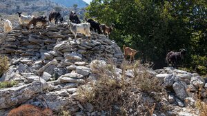 Άνω Μέρος: ένα χωριό του Αμαρίου, γνωστό για τα καζάνια του!