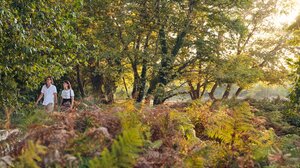 Άνοιξη στις λίμνες της Κρήτης: Μια εμπειρία που αξίζει να ανακαλύψετε