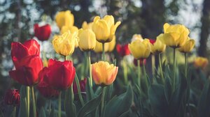 Άνοδος της θερμοκρασίας την Κυριακή σε όλη τη χώρα – Ξεπέρασε τους 20°C το θερμόμετρο