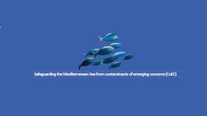 Σητεία: Ημερίδα για τη θαλάσσια ρύπανση από μικρορρυπαντές