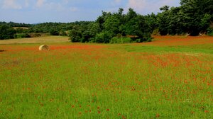 Αίθριος καιρός με λίγες νεφώσεις την Κυριακή 15/3 στην Κρήτη