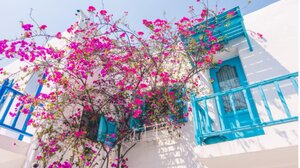 Γιατί ο καιρός κάνει την Κρήτη την πιο ιδιαίτερη έδρα στο στοίχημα