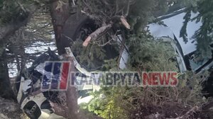 Αυτοκίνητο διαλύθηκε μετά από πρόσκρουση σε δέντρο στα Καλάβρυτα - Σώθηκε η οδηγός