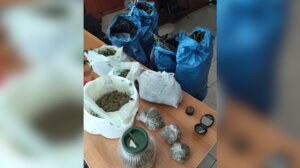 Κάνναβη και αποξηραμένα τμήματα δενδρυλλίων έκρυβε 70χρονος στο σπίτι του