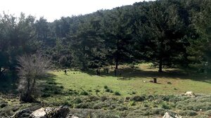 Μια Κυριακή στην "καρδιά" της φύσης με τον Ορειβατικό Σύλλογο Αγίου Νικολάου 