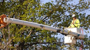 Χανιά: Προειδοποίηση στους ιδιοκτήτες για επικίνδυνα κλαδιά σε δρόμους και πεζοδρόμια