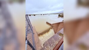Όσα δε φτάνει η αλεπού τα κάνει κρεμαστάρια!